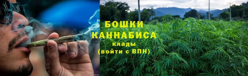 Канабис Amnesia  купить  цена  Александровск-Сахалинский 